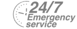 24/7 Emergency Service Pest Control in Wealdstone, Harrow Weald, HA3. Call Now! 020 8166 9746