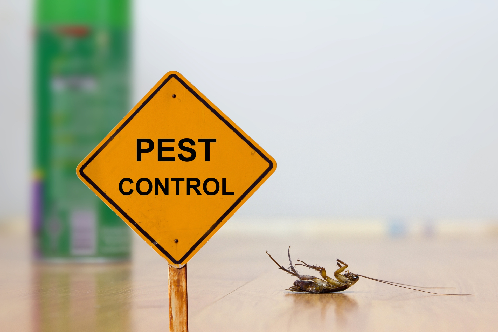 24 Hour Pest Control, Pest Control in Wealdstone, Harrow Weald, HA3. Call Now 020 8166 9746